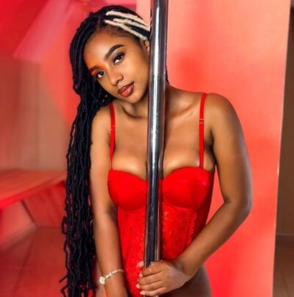 Celeste Orion Awaits You for Unforgettable Moments